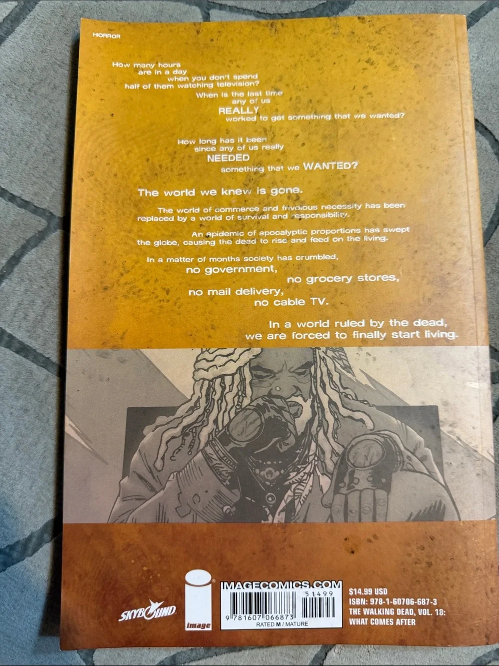 Volume 18: What Comes After - Orange/Black Cover